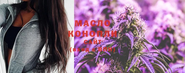 spice Бородино