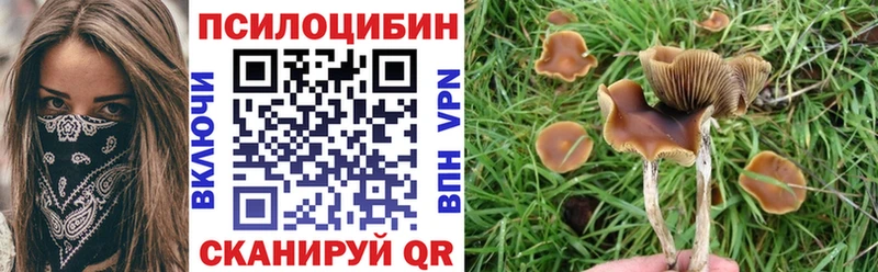 Псилоцибиновые грибы GOLDEN TEACHER купить закладку Таганрог