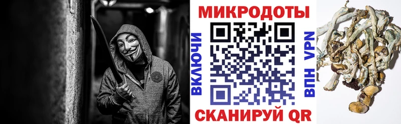 Галлюциногенные грибы Cubensis Таганрог